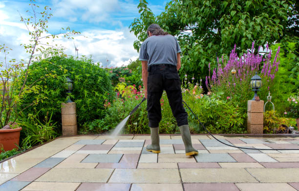 Best Winterizing Services  in Hampton, GA
